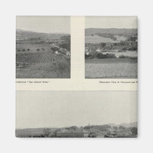 Model Vineyards, Californië Magneet (Voorkant)