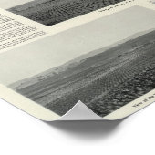 Model Vineyards, Californië Poster (Hoek)