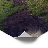 Model "Vrouwen en weers" op een vuile wegfotografi Poster (Hoek)