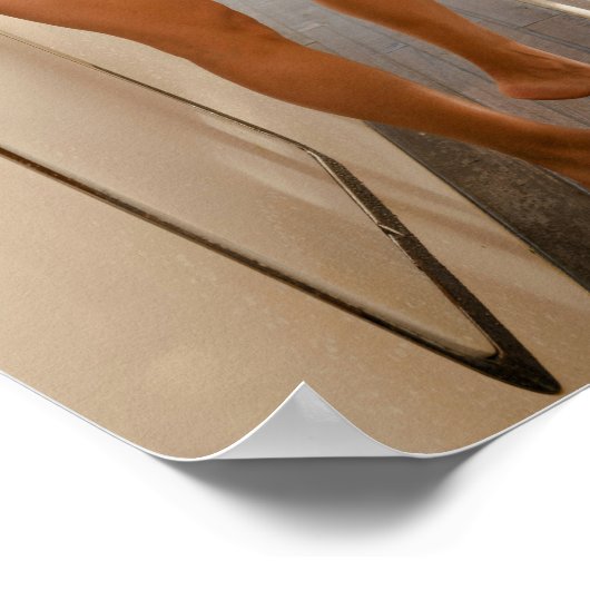 Model Wearing A Black Bikini Poster (Hoek)