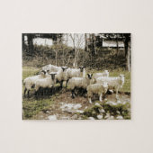 Modellen op het Boerderij Legpuzzel (Horizontaal)