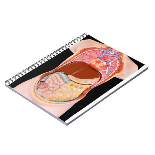 Modelmenselijke romp met organen op zwarte achterg notitieboek (Linkerzijde)