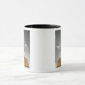 Modelreconstructie van het ontwerp van de da Vinci Mok (Midden)