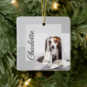 Moden Minimale Geometrische Dog Fotoversiering Keramisch Ornament
