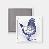 Modena Argent Magneet (Voorkant / Achterkant)