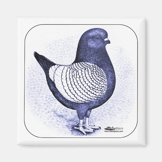 Modena Argent Magneet (Voorkant)