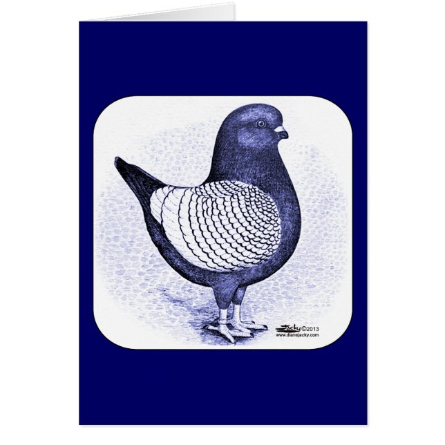 Modena Argent Pigeon (Voorkant)