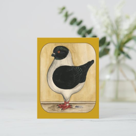 Modena Black Gazzi Pigeon Briefkaart (Staand voorkant)