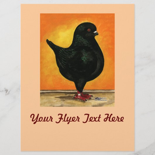 Modena Black Schietti Flyer (Voorkant)