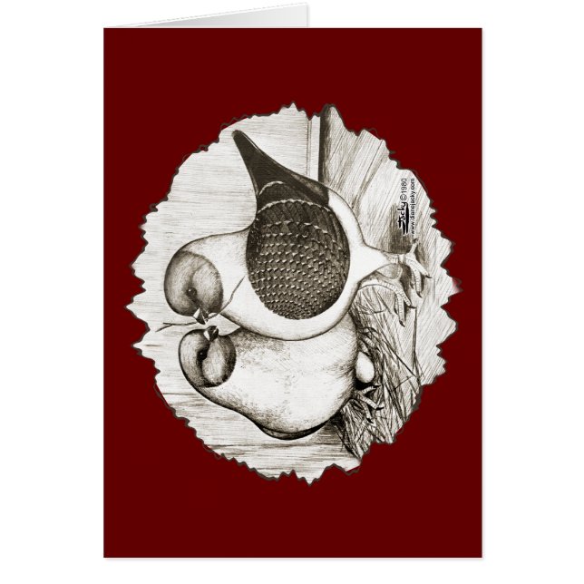 Modena Gazzi Pigeons (Voorkant)