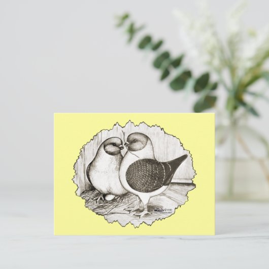 Modena Gazzi Pigeons Briefkaart (Staand voorkant)