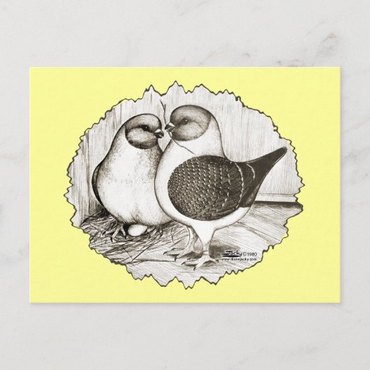 Modena Gazzi Pigeons Briefkaart (Voorkant)