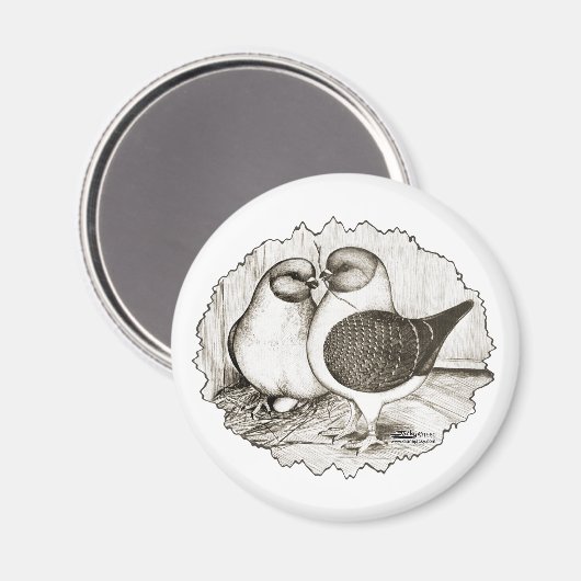 Modena Gazzi Pigeons Magneet (Voorkant / Achterkant)