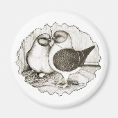 Modena Gazzi Pigeons Magneet (Voorkant)