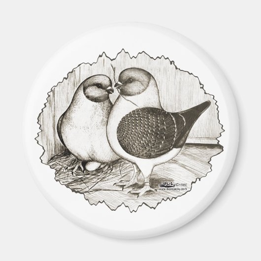 Modena Gazzi Pigeons Magneet (Voorkant)