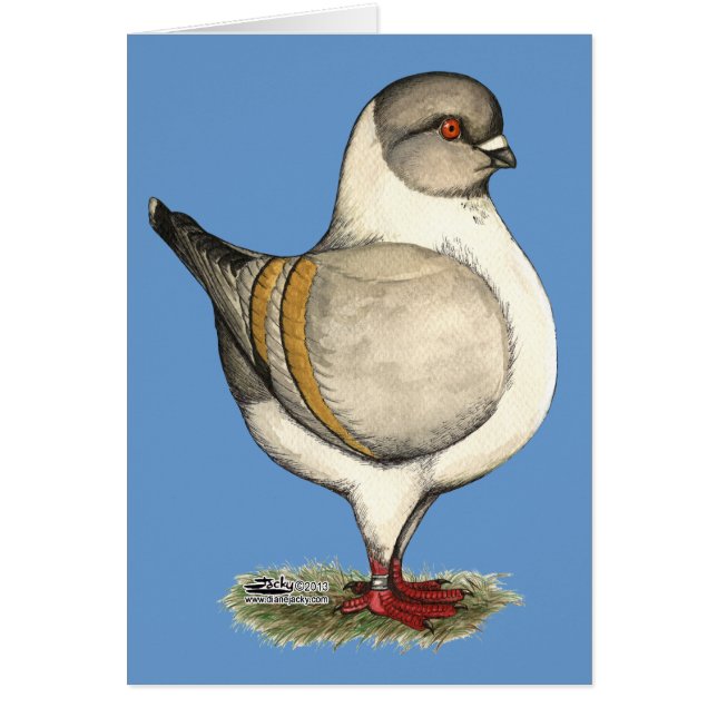 Modena Silver Gazzi (Voorkant)