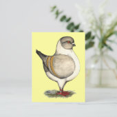 Modena Silver Gazzi Briefkaart (Staand voorkant)