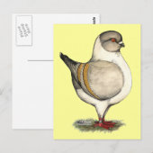 Modena Silver Gazzi Briefkaart (Voorkant / Achterkant)