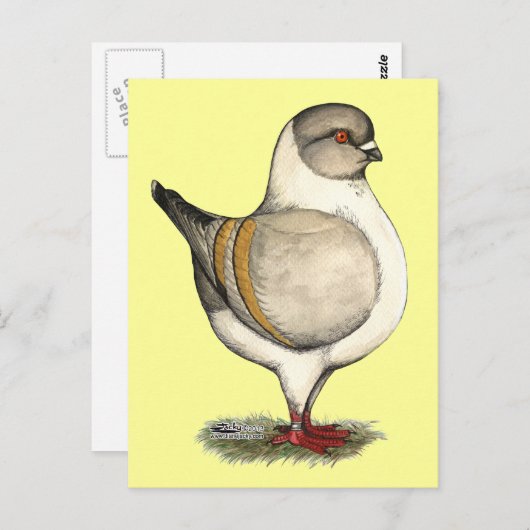 Modena Silver Gazzi Briefkaart (Voorkant / Achterkant)