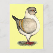 Modena Silver Gazzi Briefkaart (Voorkant)