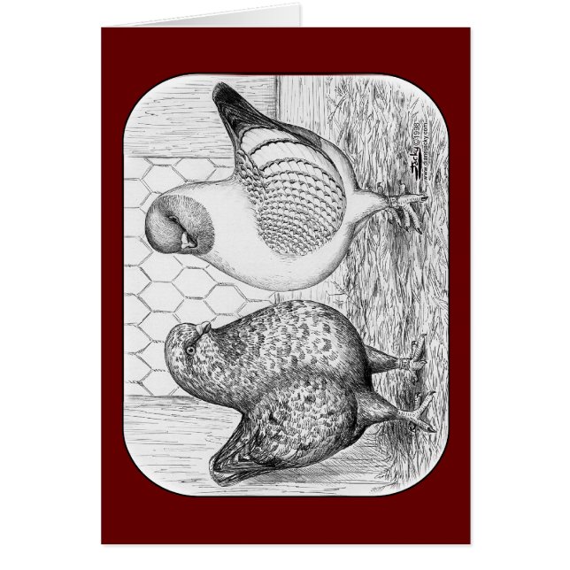 Modenas Twee Duiven (Voorkant)