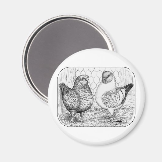 Modenas Two Magneet (Voorkant / Achterkant)