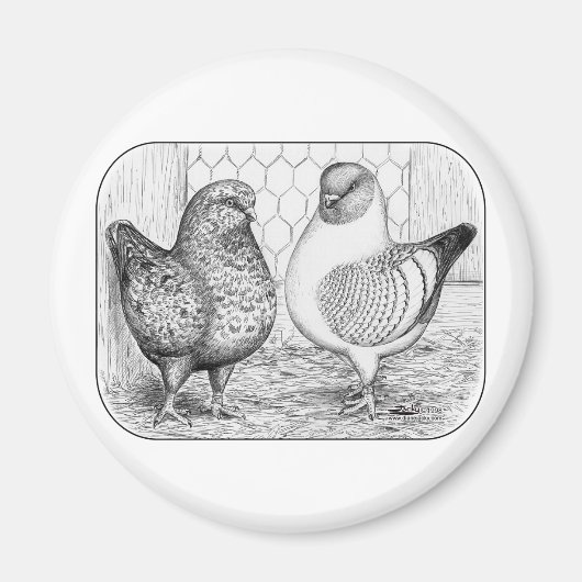 Modenas Two Magneet (Voorkant)