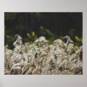 Modern Abstract Botanical Art – Nature Shapes Poster (Voorkant)