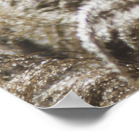 Modern Abstract Botanical Art – Nature Shapes Poster (Hoek)