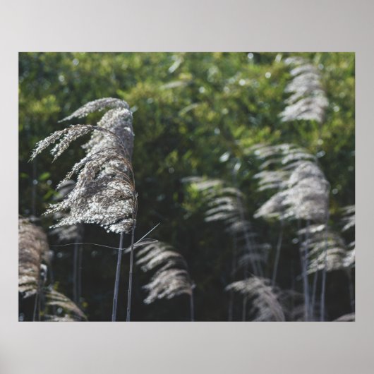 Modern Abstract Botanical Art – Nature Shapes Poster (Voorkant)