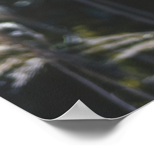 Modern Abstract Botanical Art – Nature Shapes Poster (Hoek)