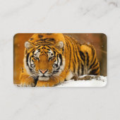 Modern Animal Art Card Set – Tiger & Fantasy Bird Visitekaartje (Voorkant)