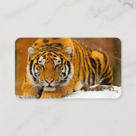 Modern Animal Art Card Set – Tiger & Fantasy Bird Visitekaartje