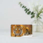 Modern Animal Art Card Set – Tiger & Fantasy Bird Visitekaartje (Staand voorkant)