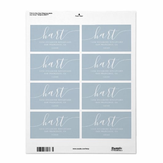 Modern Baby Blue Script Family Retouradres Etiket (Full Sheet)