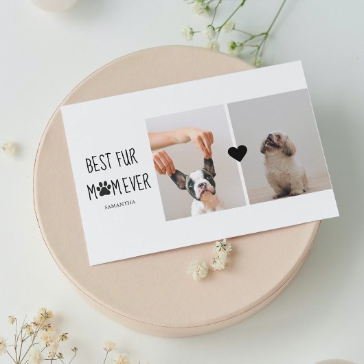 Modern Best Fur Mam Ever | Dog Photo