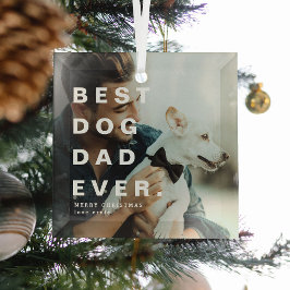 Modern BESTE DOG DAD OOIT Aangepaste foto Glas Ornament