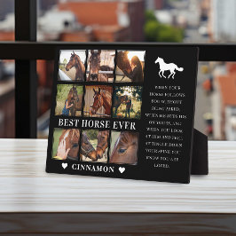 Modern Beste Paard Ooit Foto Collage & Citaat Fotoplaat