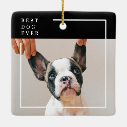 Modern Black and White Best Dog Ever Photo  Keramisch Ornament (Achterkant)