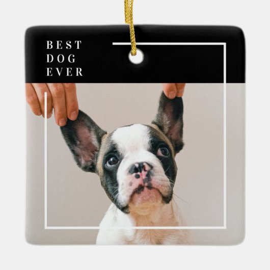 Modern Black and White Best Dog Ever Photo  Keramisch Ornament (Voorkant)