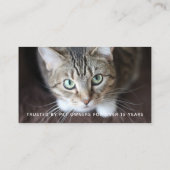 Modern Black and White Pet Sitter Dog Walker Foto Visitekaartje (Achterkant)