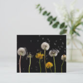Modern Black Dandelion Briefkaart (Staand voorkant)