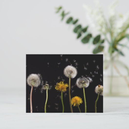 Modern Black Dandelion Briefkaart (Staand voorkant)