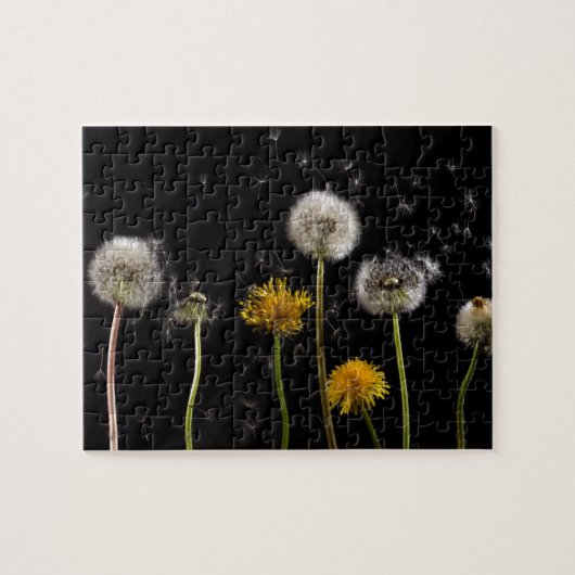 Modern Black Dandelion Legpuzzel (Horizontaal)