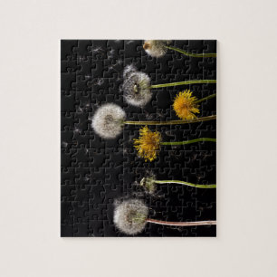 Modern Black Dandelion Legpuzzel