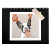 Modern Black Scrapbook Pet Photo Kalender (Hoes)