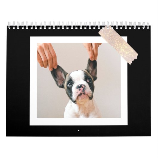 Modern Black Scrapbook Pet Photo Kalender (Hoes)