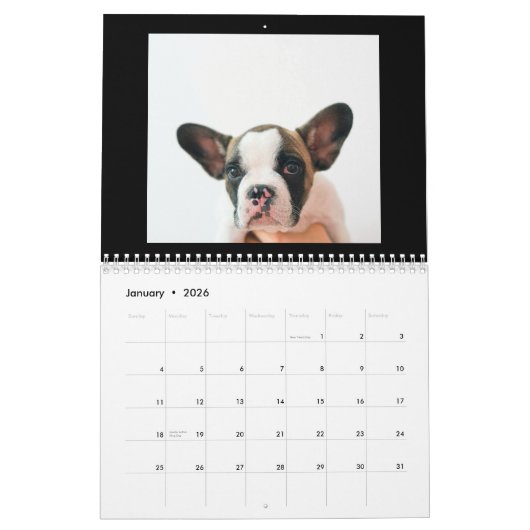 Modern Black Scrapbook Pet Photo Kalender (Jan 2026)