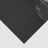 Modern Black White Horse Tissuepapier (Detail)