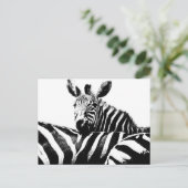 Modern Black & White Pop Art Afbeelding Zebras Briefkaart (Staand voorkant)